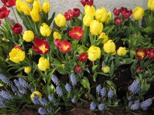 Worth waiting for...