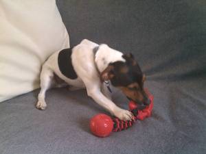 This proves nothing...