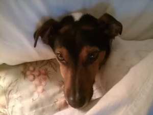 Am I looking at you? Or are you looking at me...