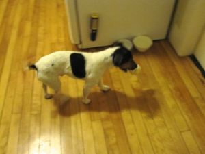 Food station's too obvious...