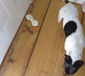 Come on, work with me...