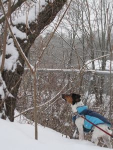 Come a little closer...