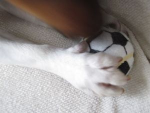 …and I won't let go...