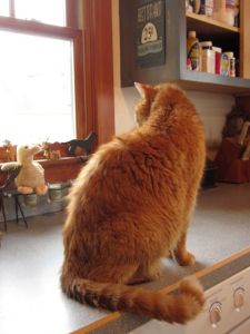 Fresh from the shower