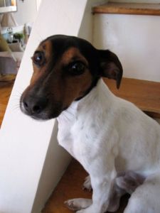 Can I think about it?