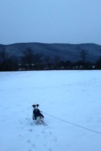 The snows that winter were vast...