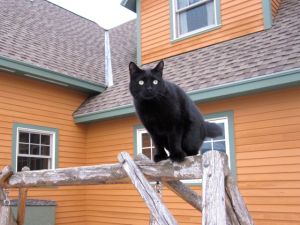 It's called foreshadowing...