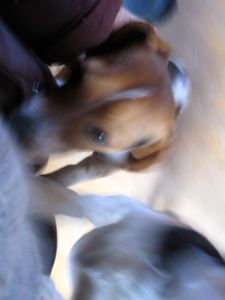 It all happened so fast...