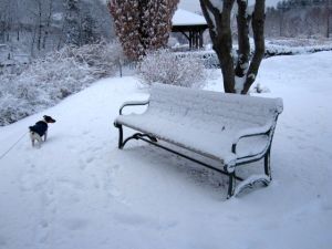 Like the ice palace.