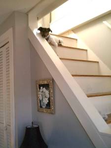 The full perspective, so to speak...