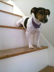 It's like a shelf...too?