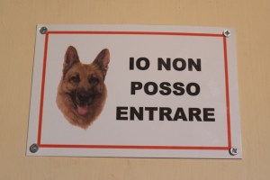 Posted in Piazza Navona